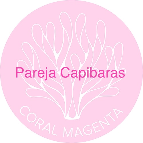 Pareja Capibaras