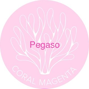 Pegaso