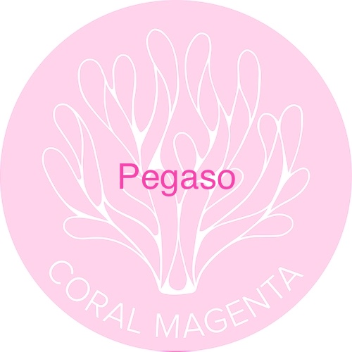 Pegaso